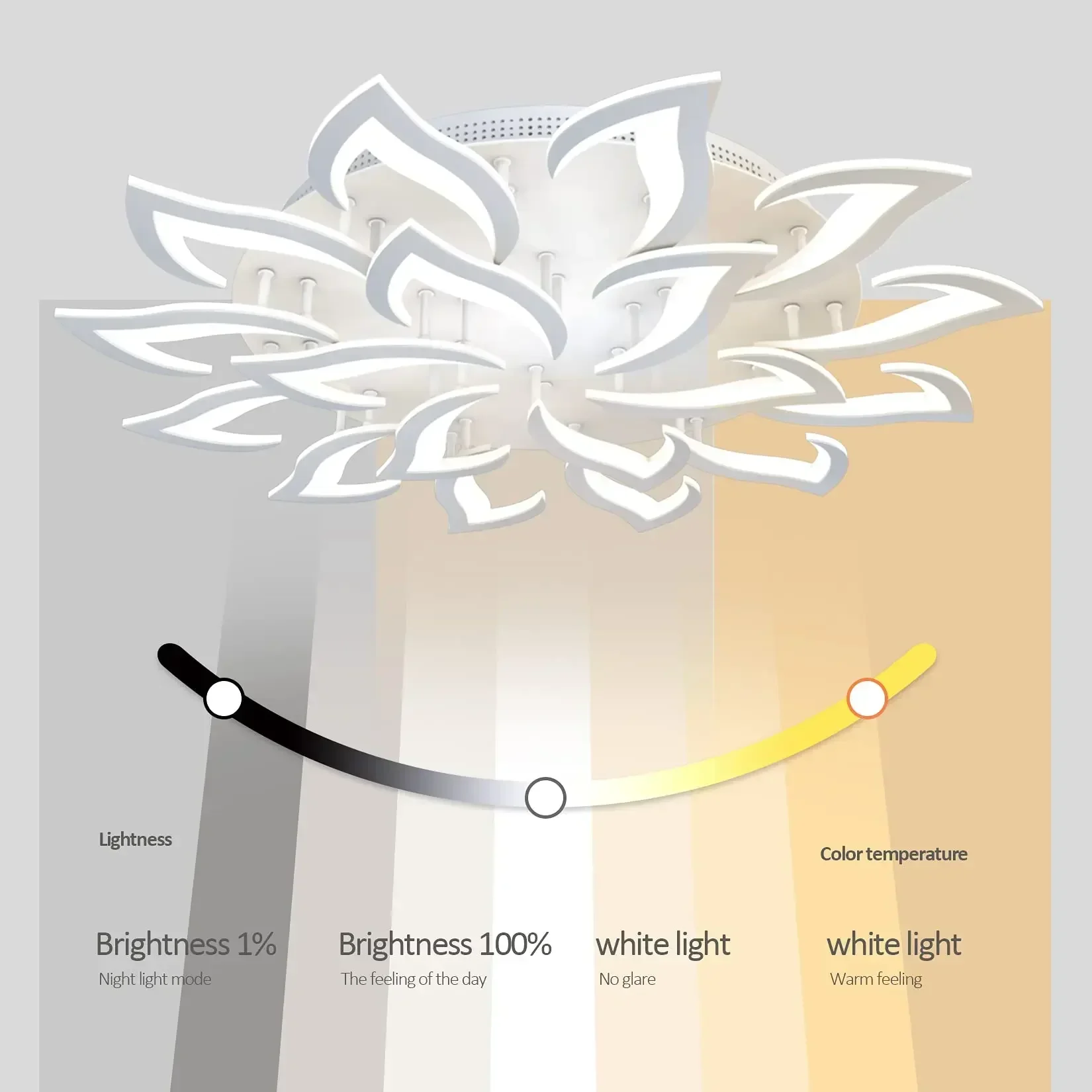 Designer LED Petal Chandelier  - Interior Design Kitchen Modern 评论和价格